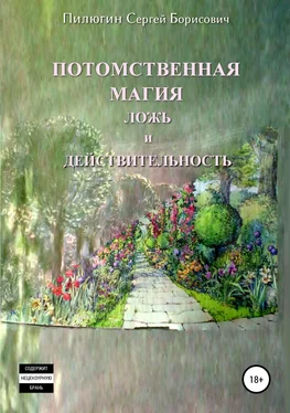 Сергей Пилюгин Потомственная магия ложь и действительность обложка книги