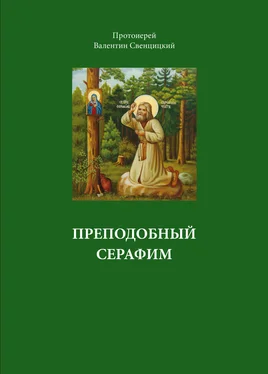 Валентин Свенцицкий Преподобный Серафим обложка книги