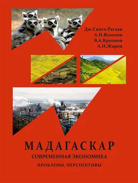 Джугендра Сингх Рагхав Республика Мадагаскар. Современная экономика (проблемы, перспективы) обложка книги