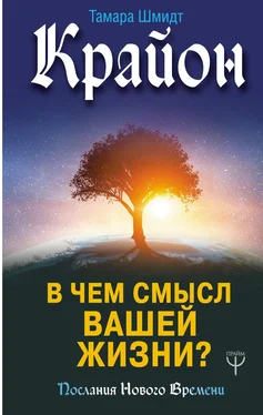 Тамара Шмидт Крайон. В чем смысл вашей жизни? обложка книги