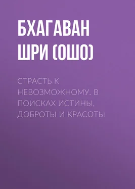 Бхагаван Раджниш (Ошо) Страсть к невозможному. В поисках истины, доброты и красоты обложка книги