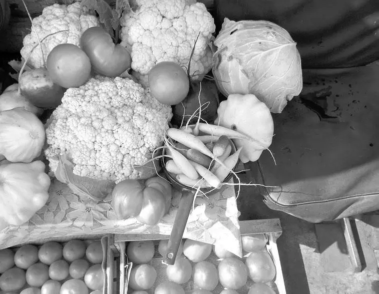 Сразу после последнего сбора урожая ягод я срубаю кусты клубники на этой грядке - фото 13