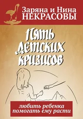 Заряна и Нина Некрасовы - Пять детских кризисов. Любить ребёнка – помогать ему расти