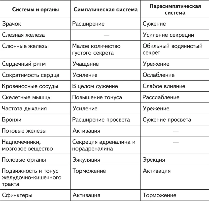 При возбуждении симпатических нервов где основным химическим передатчиком - фото 1