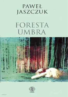 Paweł Jaszczuk Foresta Umbra обложка книги