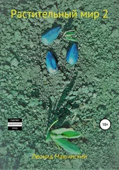 Леонид Машинский - Растительный мир 2
