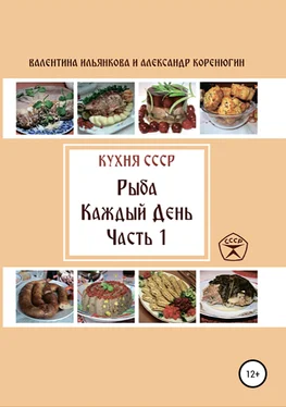 Александр Коренюгин Кухня СССР. Рыба каждый день. Часть 1 обложка книги