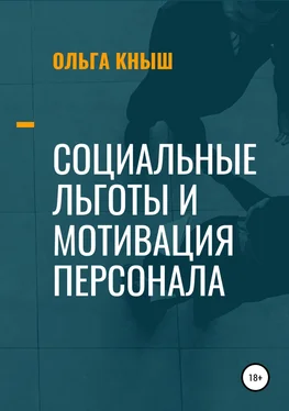 Ольга Кныш Социальные льготы и мотивация персонала обложка книги