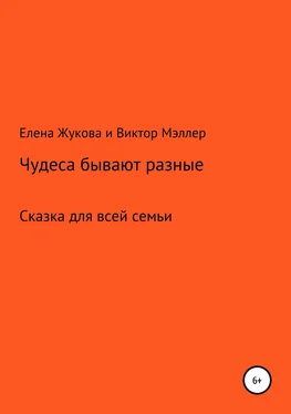 Елена Жукова Чудеса бывают разные обложка книги
