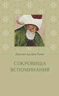 Джалаладдин Руми Сокровища вспоминания обложка книги