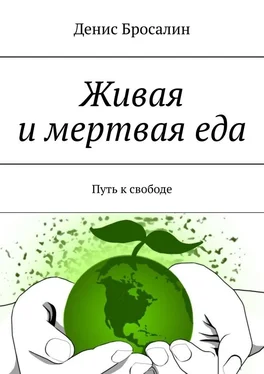 Денис Бросалин Живая и мертвая еда. Путь к свободе обложка книги