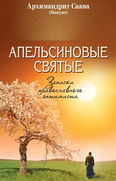 архимандрит Савва (Мажуко) Апельсиновые святые. Записки православного оптимиста обложка книги