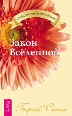 Георгий Сытин Закон Вселенной обложка книги