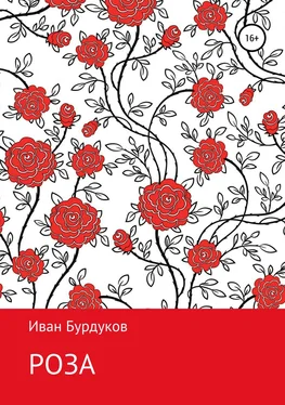 Иван Бурдуков Роза обложка книги