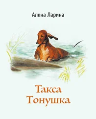 Алёна Ларина - Такса Тонушка