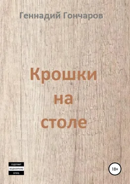 Геннадий Гончаров Крошки на столе обложка книги