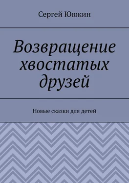 Сергей Ююкин Возвращение хвостатых друзей. Новые сказки для детей обложка книги