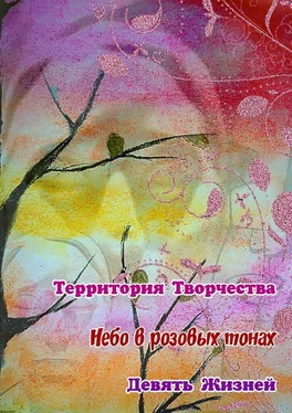 Валентина Спирина Небо в розовых тонах. Девять Жизней обложка книги