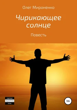 Олег Мироненко Чирикающее солнце обложка книги