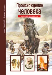 Ирина Рябинина - Происхождение человека