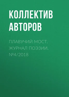 Коллектив авторов Плавучий мост. Журнал поэзии. №4/2018 обложка книги