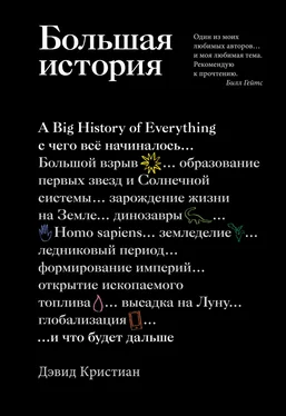 Дэвид Кристиан Большая история обложка книги