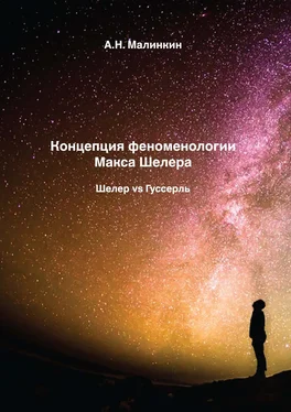 Александр Малинкин Концепция феноменологии Макса Шелера. Шелер vs Гуссерль обложка книги