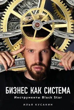 Илья Кусакин Бизнес как система обложка книги