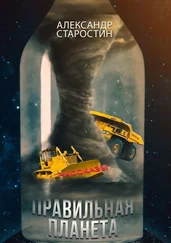 Александр Старостин - Правильная планета