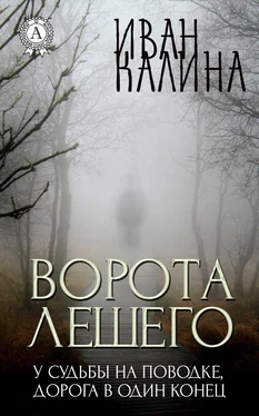 Иван Калина Ворота Лешего обложка книги