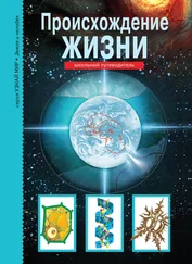 Ирина Рябинина - Происхождение жизни