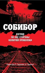 Сборник - Собибор. Взгляд по обе стороны колючей проволоки