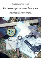 Анатолий Музис - Рассказы про геолога Векшина