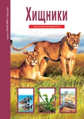 Юлия Дунаева - Хищники