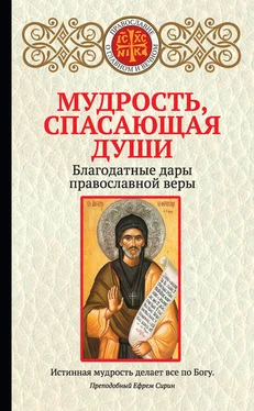 Ирина Булгакова Мудрость, спасающая души. Благодатные дары православной веры обложка книги