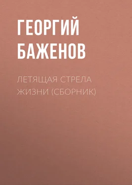 Георгий Баженов Летящая стрела жизни (сборник) обложка книги