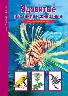 Сергей Афонькин Ядовитые растения и животные обложка книги