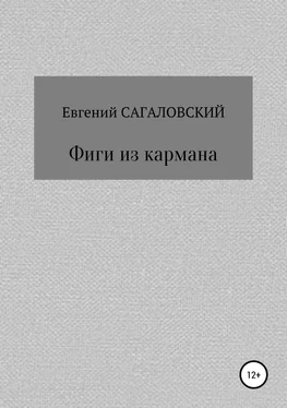 Евгений Сагаловский Фиги из кармана обложка книги