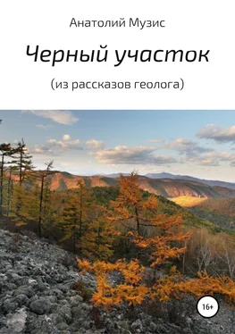 Анатолий Музис Черный участок (из рассказов геолога) обложка книги