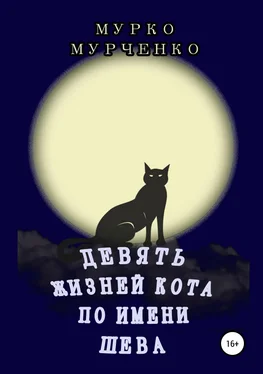 Мурко Мурченко Девять жизней кота по имени Шева обложка книги