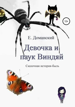 Евгений Доманский Девочка и паук Виндяй обложка книги