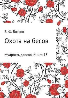 Владимир Власов Охота на бесов обложка книги