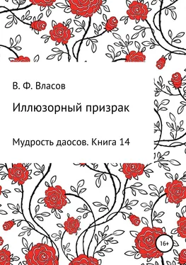 Владимир Власов Иллюзорный призрак обложка книги