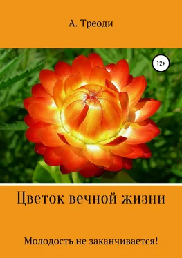 А. Треоди Цветок вечной жизни обложка книги