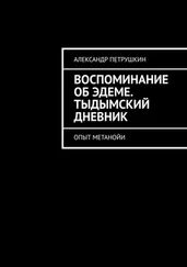 Александр Петрушкин - Воспоминание об Эдеме. Тыдымский дневник. Опыт метанойи