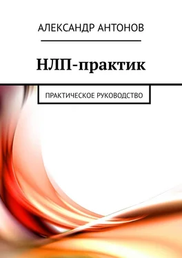 Александр Антонов НЛП-практик. Практическое руководство обложка книги