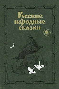 Array Фольклор Русские народные сказки. Антология обложка книги