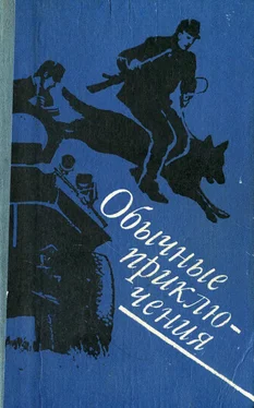 Иван Черны Обычные приключения: Повесть. Рассказы обложка книги