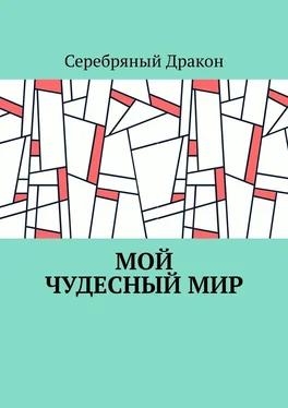 Серебряный Дракон Мой чудесный мир обложка книги