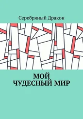 Серебряный Дракон - Мой чудесный мир